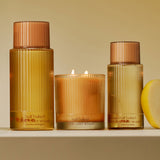 Apple Cider Smash Home Scent Bundle